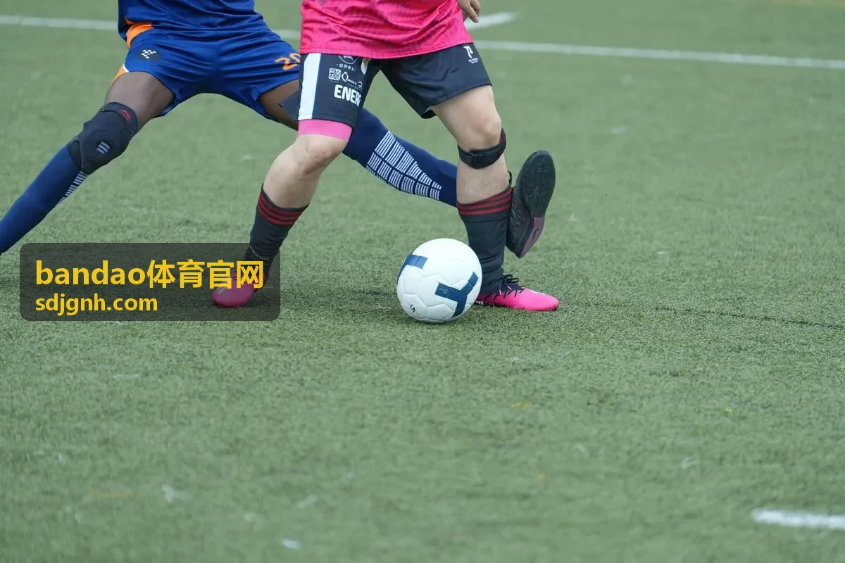 bandao体育官网深度分析